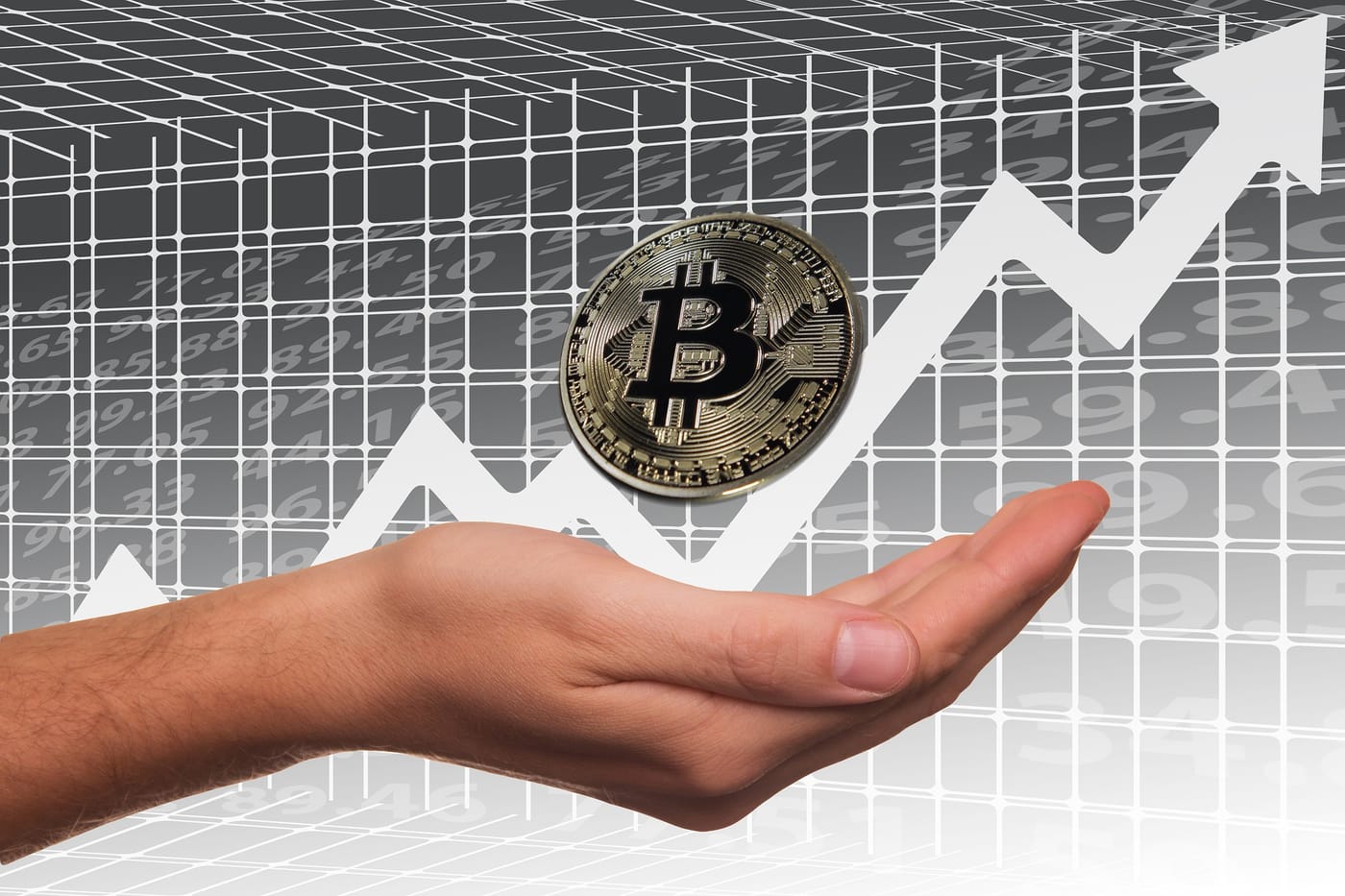 this photo shows a hand holding a bitcoin coin, with a financial graph behind