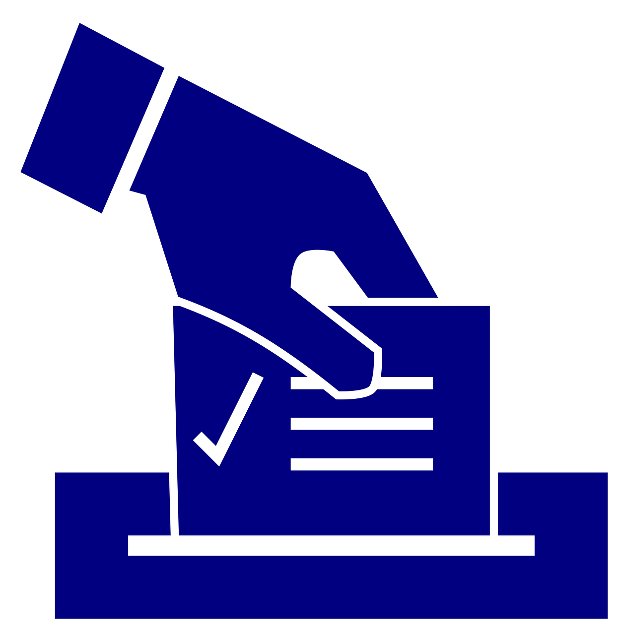 an icona showing a ballot